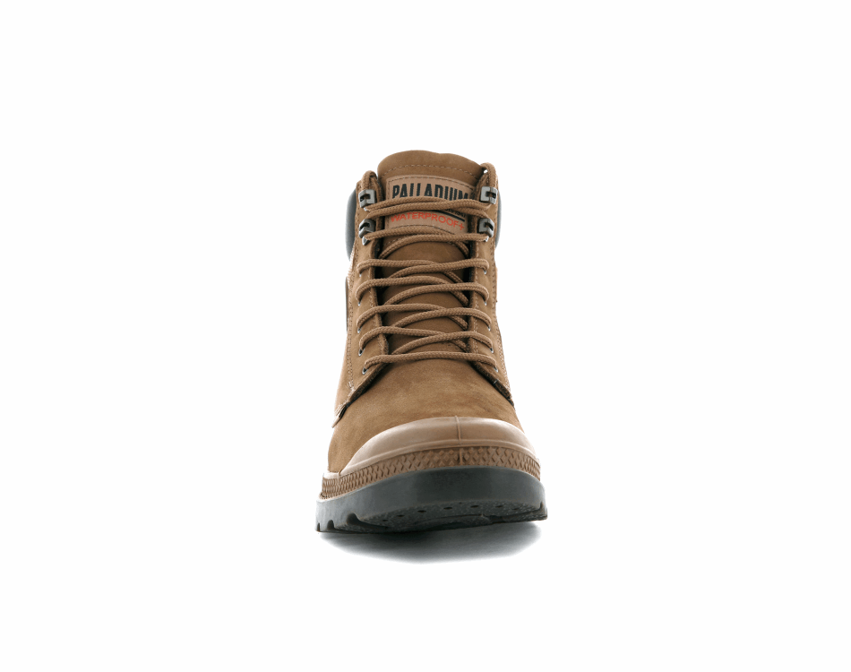 Palladium Pampa Shield Wp Lux Mahogany