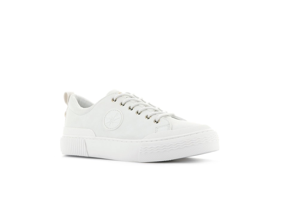 White Palladium Studio 02