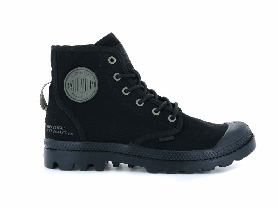 Palladium Pampa Hi Htg Supply